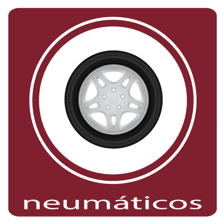 Neumáticos